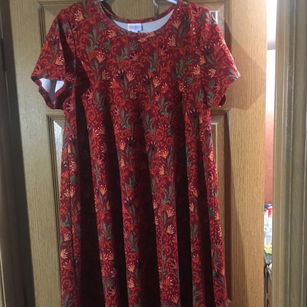 Lularoe Carly size large